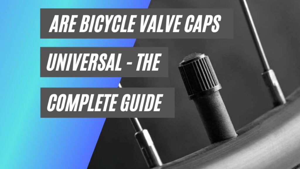 Are Valve Caps Universal